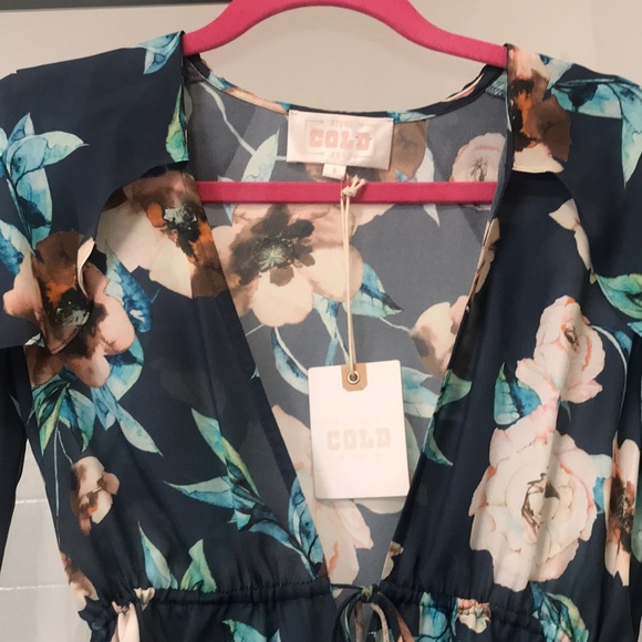 Stone Cold Fox - Picture 4 of 4